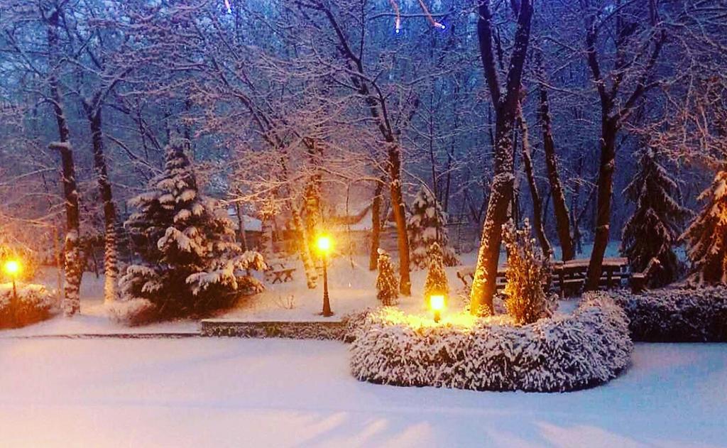 Villa Forest Belgrade Luaran gambar